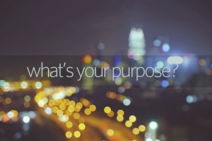 purpose